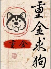 重金寻狗