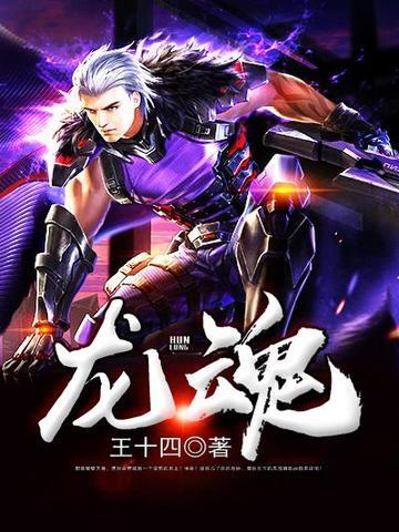 龙魂丹帝