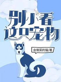 别小看这只猫