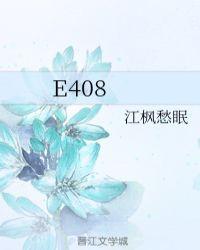 E408gl