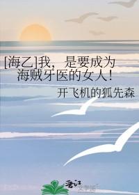 我要成为海贼王的男人梗