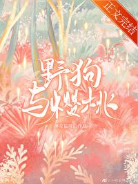 樱桃狗狗是哪部电视