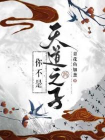你不是天道之子吗什么意思
