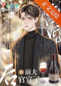 离婚后和前夫官宣了娱乐圈免费阅读