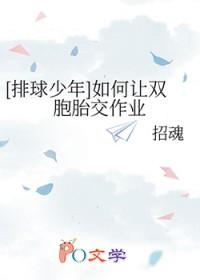 排球少年双胞胎吵架第几集