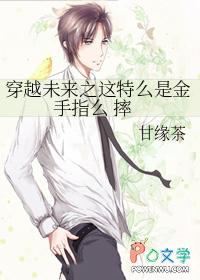穿越未来完结