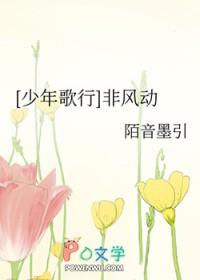 少年歌行与风吟歌词