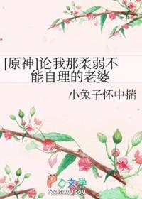原神论我那柔弱不能自理的老婆45