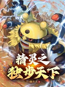 精灵宝可梦之登神长阶百度百科