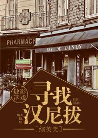 寻找汉尼拔[综英美