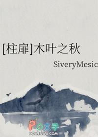 火影之木叶叛