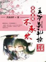 王爷的军事王妃
