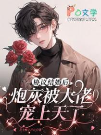 协议结婚后炮灰被大佬宠上天了免费阅读