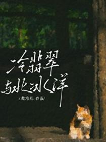 冰种翡翠和翡翠哪个贵