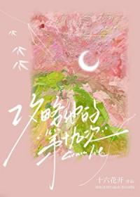 他的攻略指南攻略