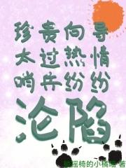 哨兵纷纷沦陷免费