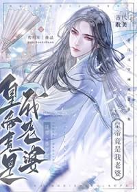 我的老婆是皇上