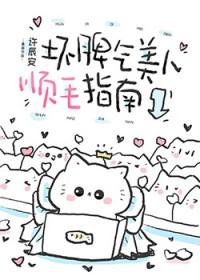 坏脾气美人顺毛指南 作者许辰安