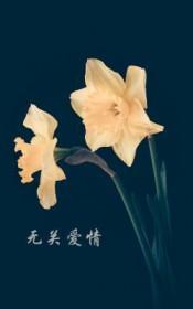 无关爱情无关你