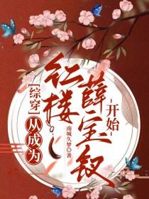 综穿从成为红楼薛宝钗开始南城久梦