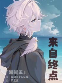 自海贼王归来