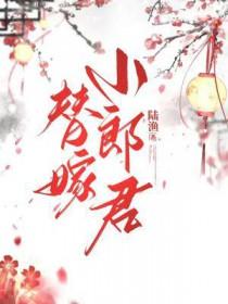 替嫁小郎君十五笔趣阁