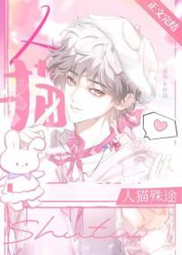 猫我可爱吗gif