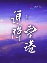 迫降雪港 曲朝
