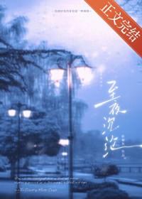 至夜沉沦晋江