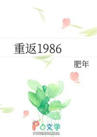 重返1986肥年陈美华