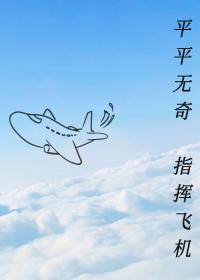 平平无奇指挥飞机免费阅读全文最新章节