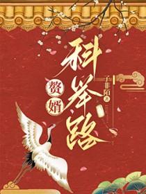 赘婿科举路全文免费阅读