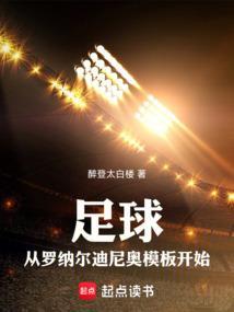 足球从罗纳尔迪尼奥模板开始 第53章