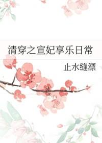 清穿之宣妃全文免费阅读