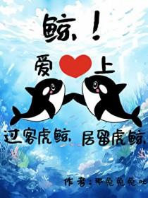 虎鲸恋人