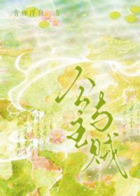 公主与盗贼的故事视频