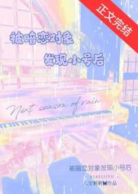 被暗恋对象发现小号后类别言情作者 八宝粥粥