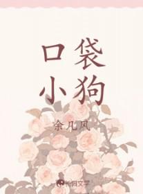 口袋狗视频
