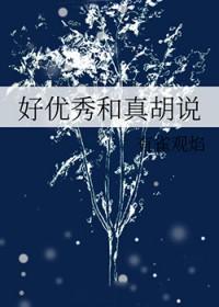 优秀和很棒哪个更好