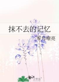 抹不去的回忆意思