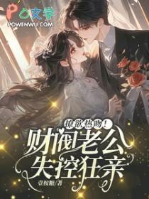 财阀总裁