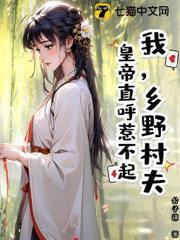 乡村野夫故事