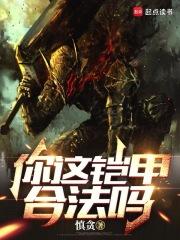 你这铠甲合法吗我篱笆文学
