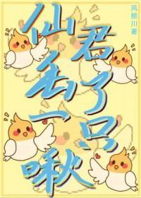仙君丢了一只啾作者风掠川