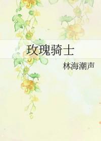 玫瑰骑士电视剧免费观看完整版高清