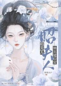 昭夫人她宠冠后宫全文阅读