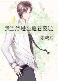 都说公司没了我会倒闭by麦成浪