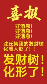当发财树成为公司吉祥物后晋江