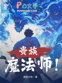 贵族魔法师动漫在线观看