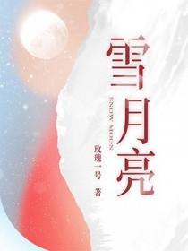 雪月亮是什么意思